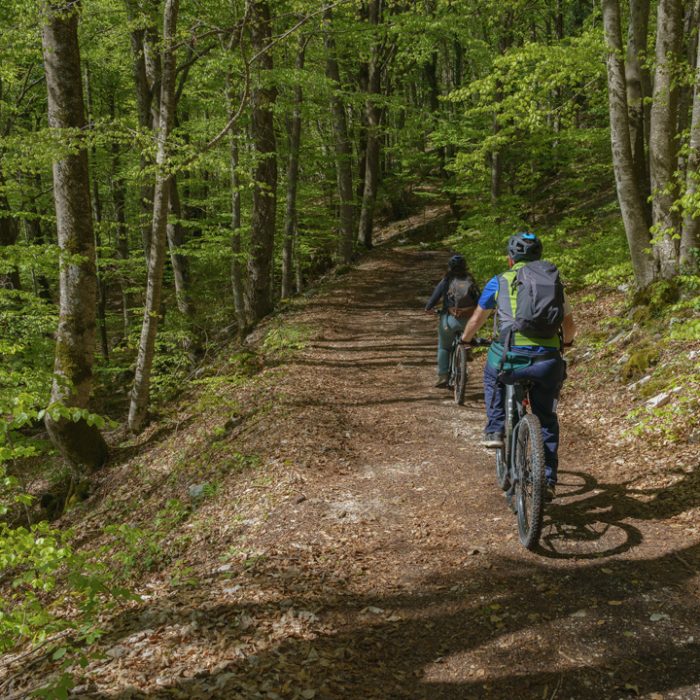 In e-bike tra faggete e torrenti